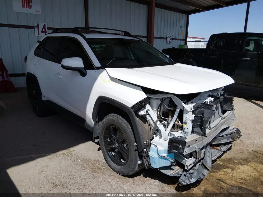 Toyota Rav4 Hybrid Xle 2024