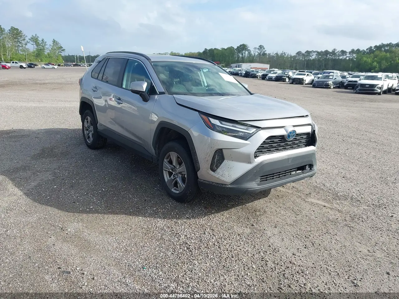 Toyota Rav4 Hybrid Xle 2024