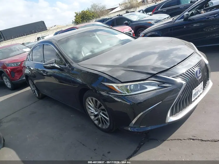 Lexus Es 300H Luxury 2019