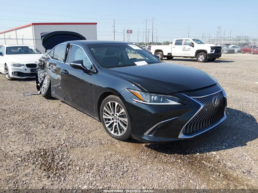 Lexus Es 300H 2019