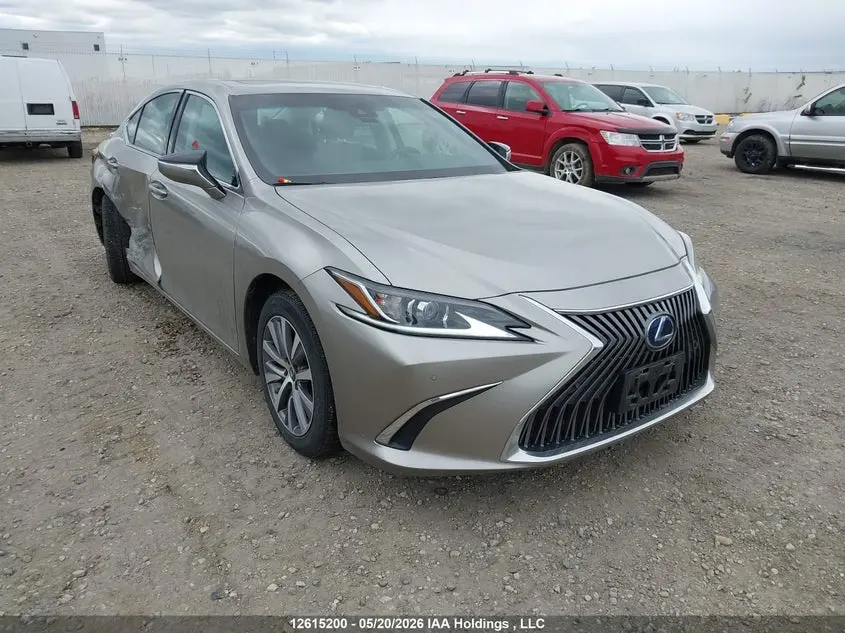 Lexus Es 300H Signature 2020
