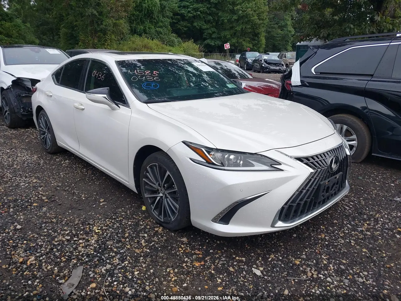 Lexus Es 250 2022