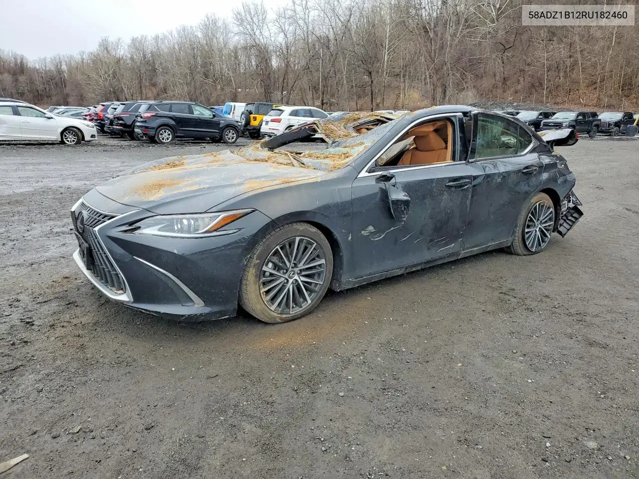 Lexus Es 350 Base 2024