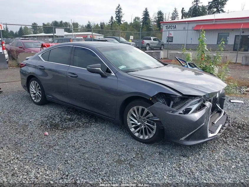 Lexus Es 300H Luxury 2020