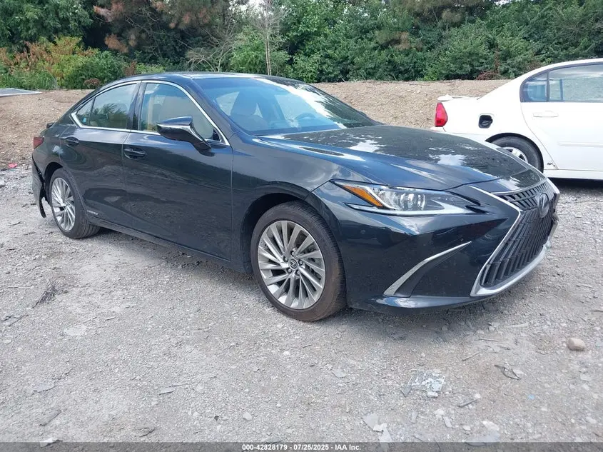 Lexus Es 300H Luxury 2022