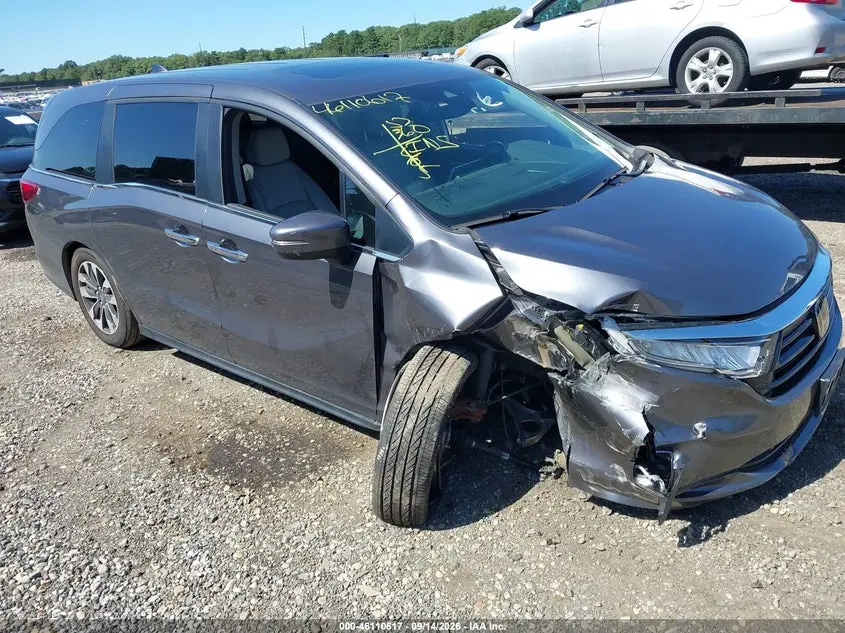 Honda Odyssey Ex-L 2024