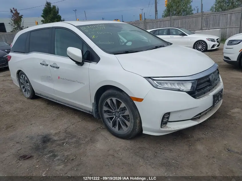 Honda Odyssey Exl 2024