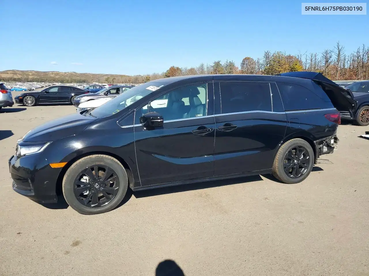 Honda Odyssey Sport-L 2023