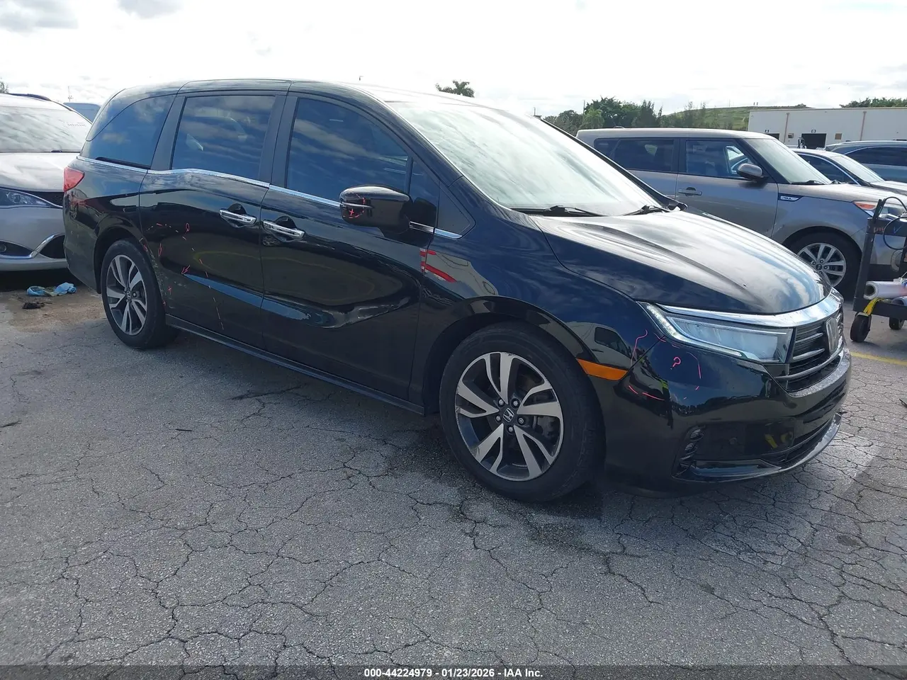 Honda Odyssey Touring 2023