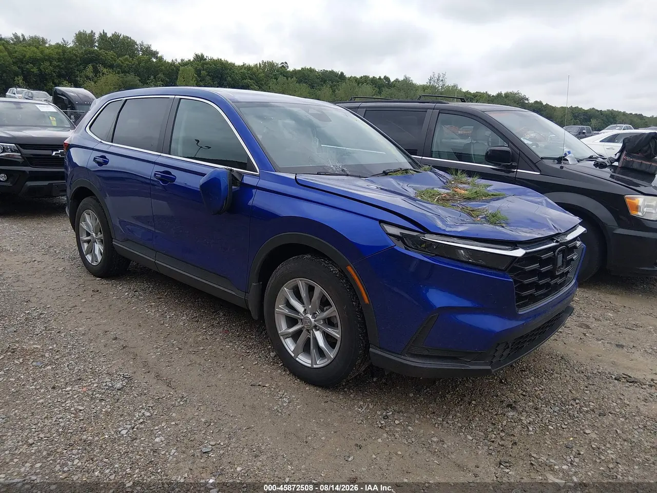 Honda Cr-V Ex-L Awd 2024