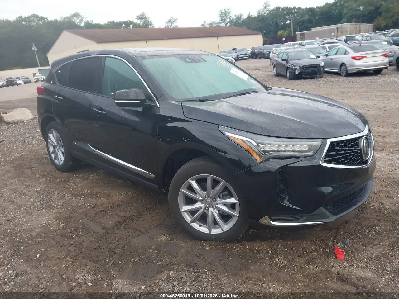 Acura Rdx Standard 2024