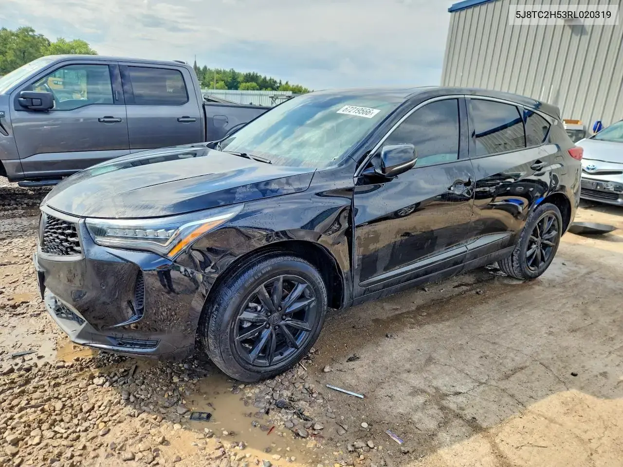 Acura Rdx Technology 2024