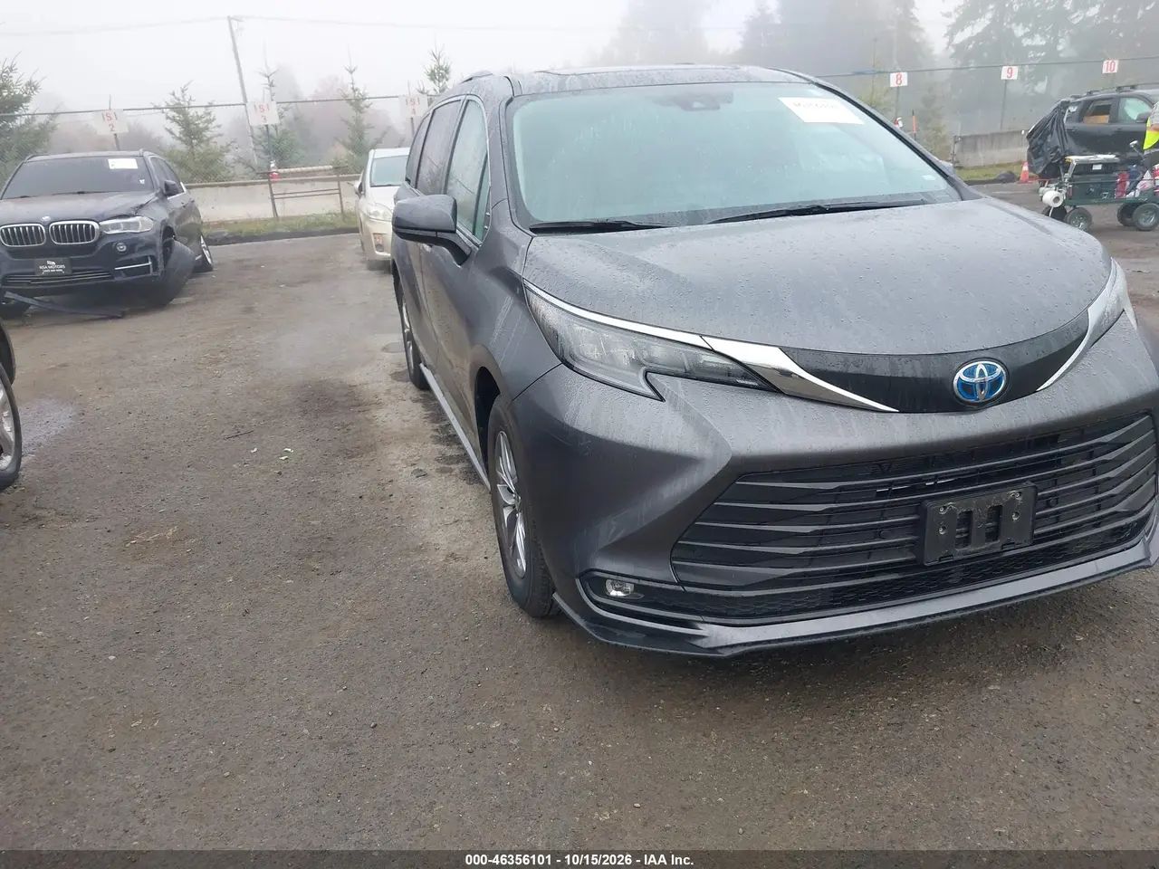 Toyota Sienna Xle/Xle 8 Passenger 2025