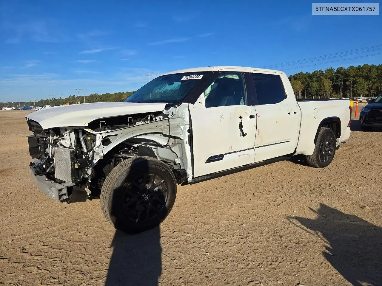 Toyota Tundra Platinum 2026