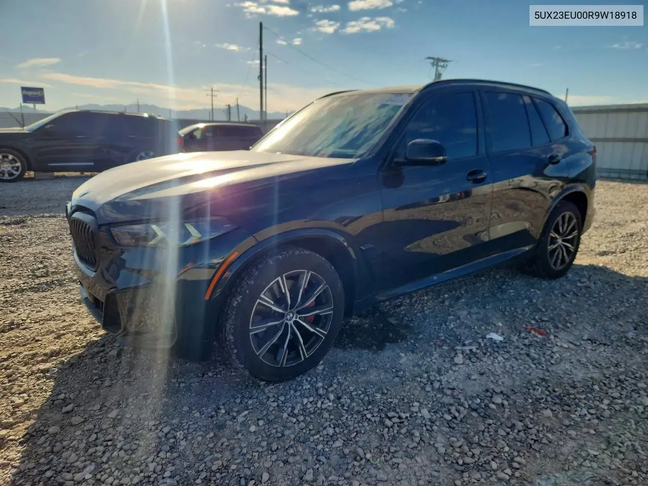 BMW X5 xDrive40I 2024