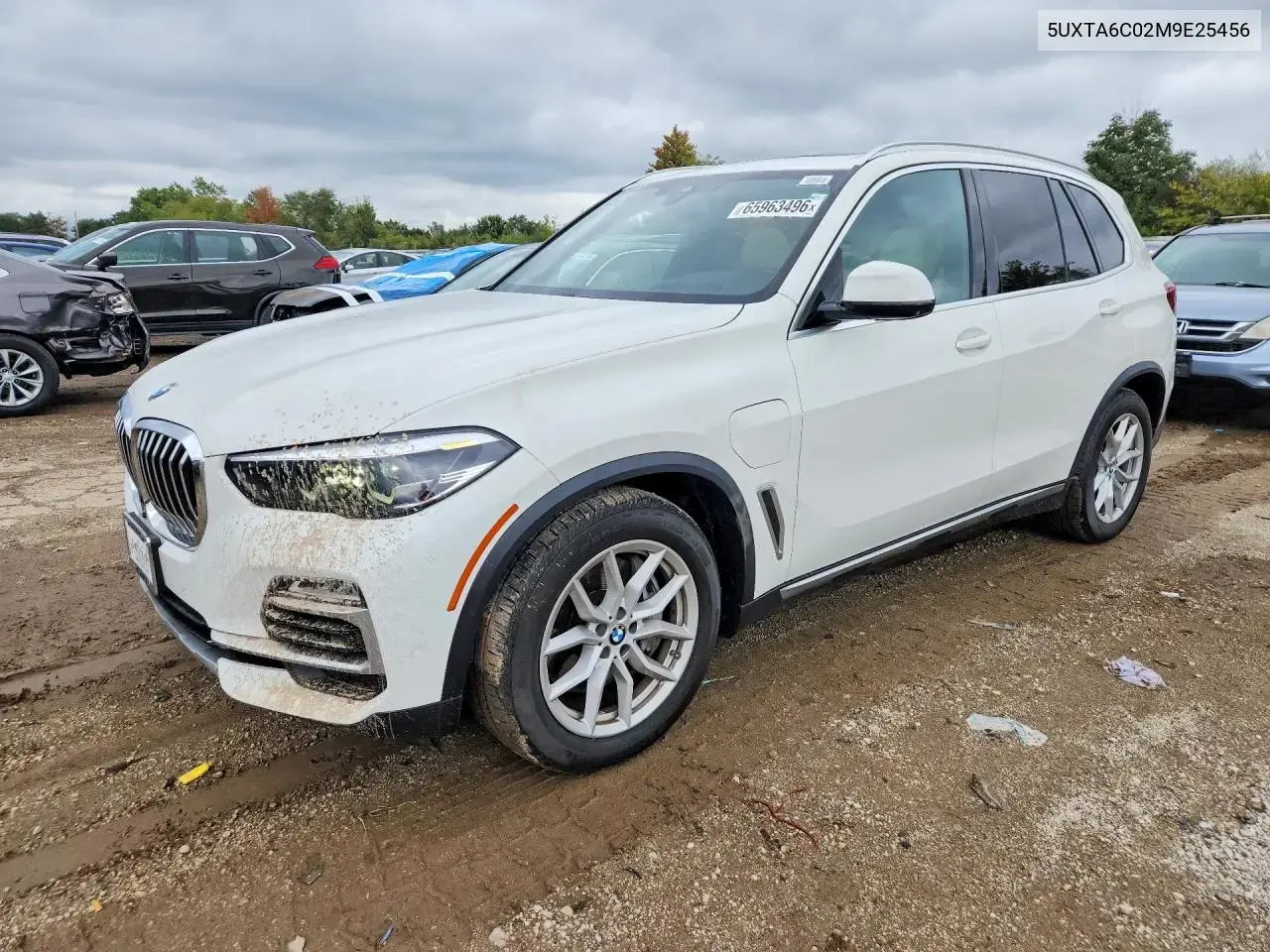 BMW X5 xDrive45E 2021