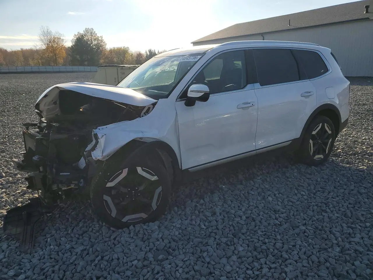 Kia Telluride Ex 2023