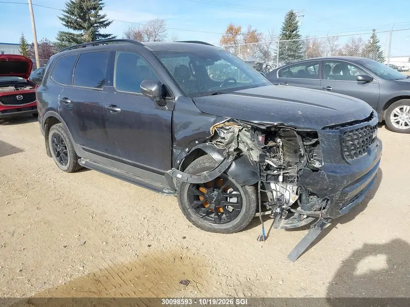 Kia Telluride Sx/Sx X-Line/Sx X-Pro/Sx Prestige/Sx Prest X-Ln/Sx Prest X-Pro 2024