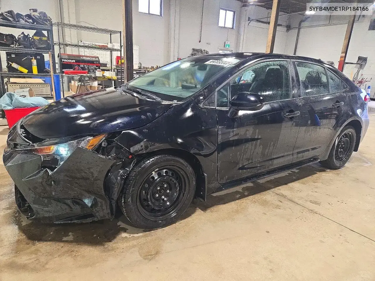 Toyota Corolla Le 2024
