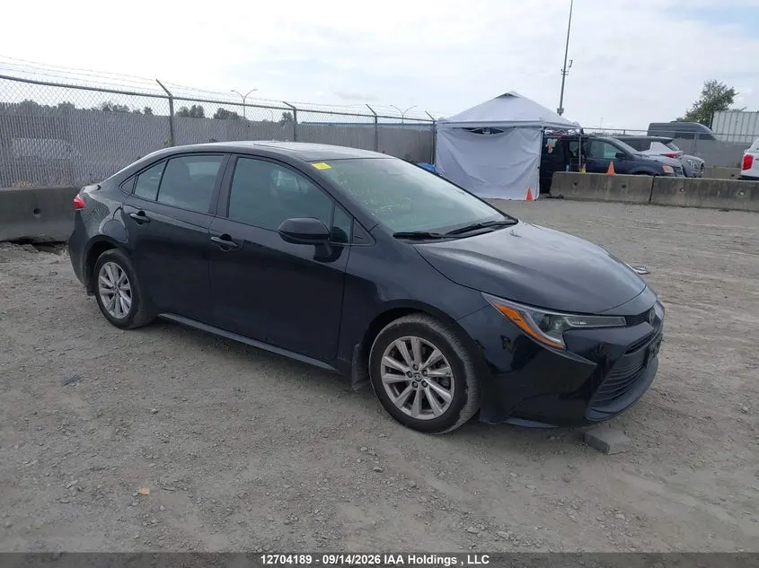 Toyota Corolla Le 2024