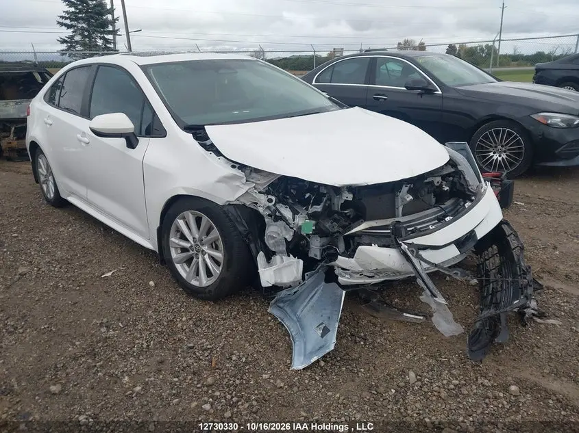 Toyota Corolla Le 2024