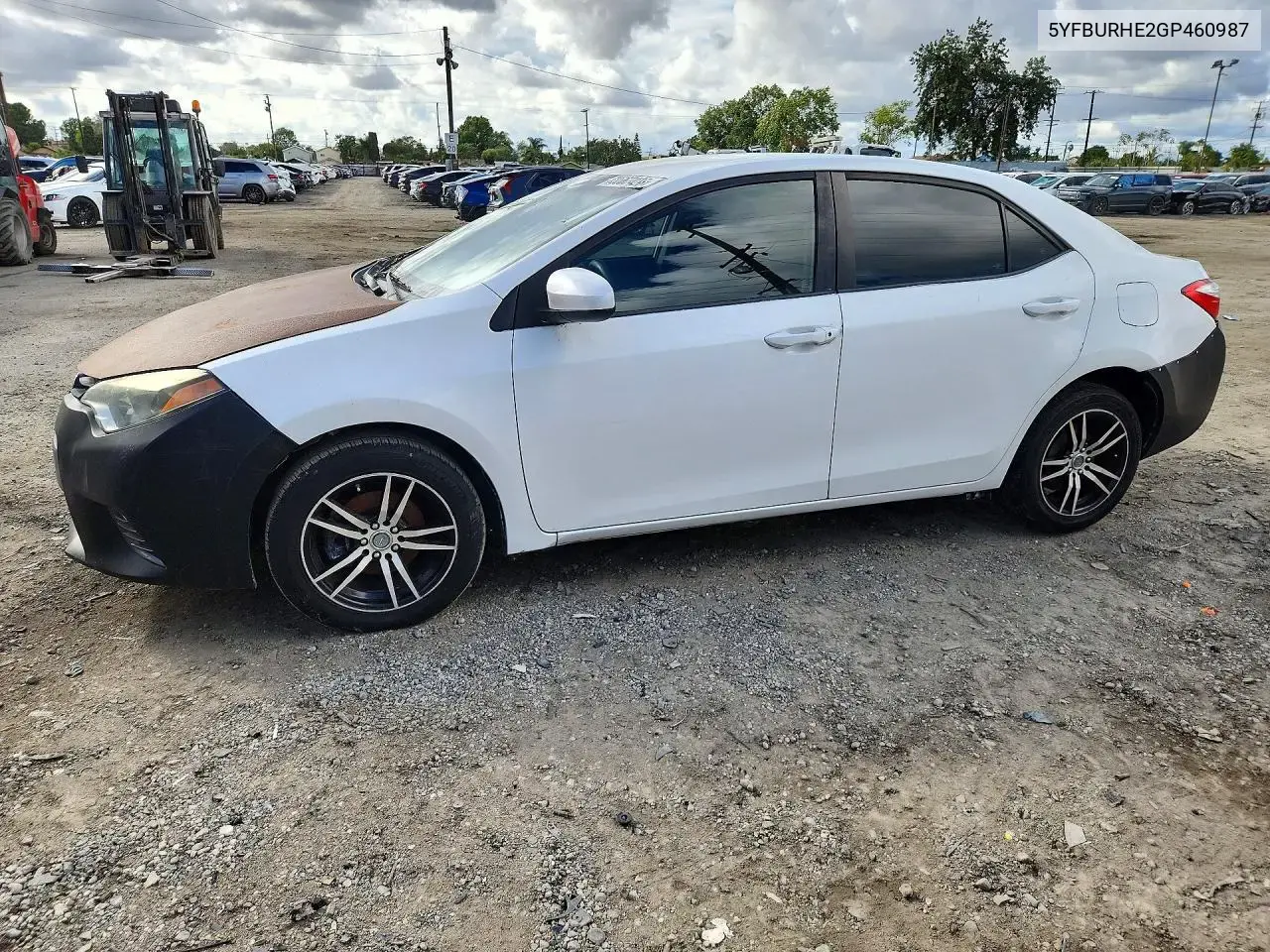 Toyota Corolla Le 2016
