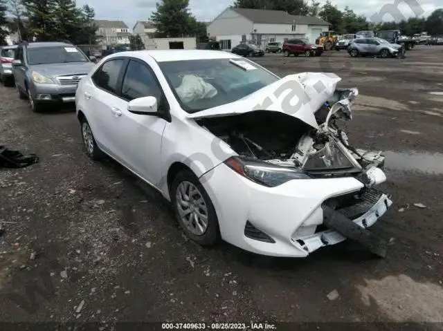 Toyota Corolla L/Le/Se/Xle/Xse 2019