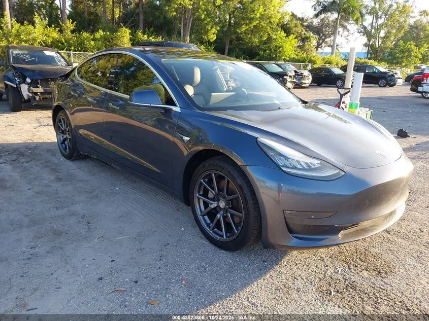 Tesla Model 3 Long Range/Mid Range/Standard Range/Standard Range Plus 2019