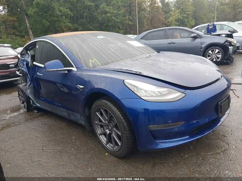 Tesla Model 3 Long Range/Mid Range/Standard Range/Standard Range Plus 2019