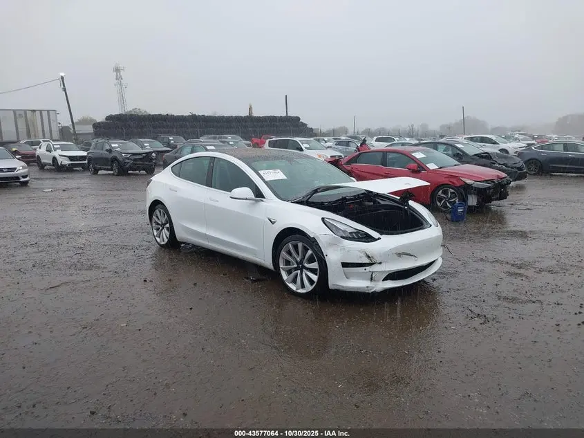 Tesla Model 3 Long Range/Mid Range/Standard Range/Standard Range Plus 2019