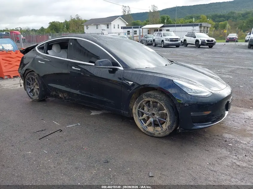 Tesla Model 3 Long Range/Mid Range/Standard Range/Standard Range Plus 2019