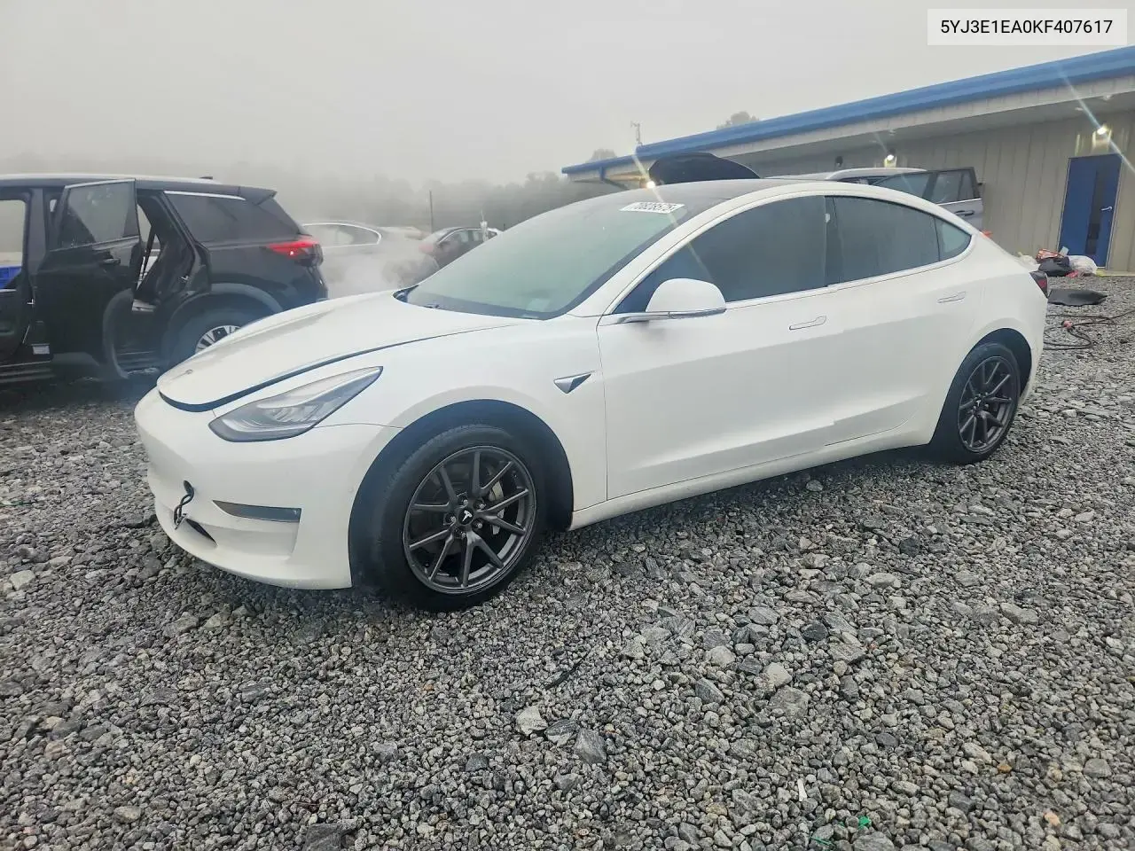 Tesla Model 3 2019