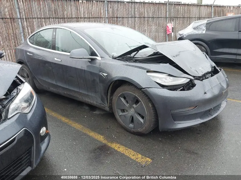 Tesla Model 3 2019