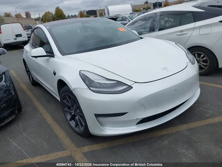 Tesla Model 3 Standard Range/Standard Range Plus 2021