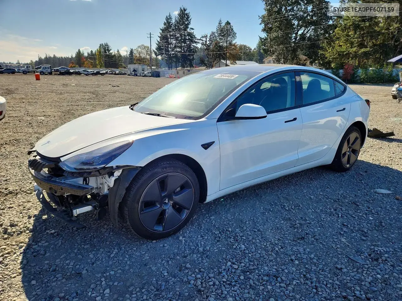 Tesla Model 3 2023
