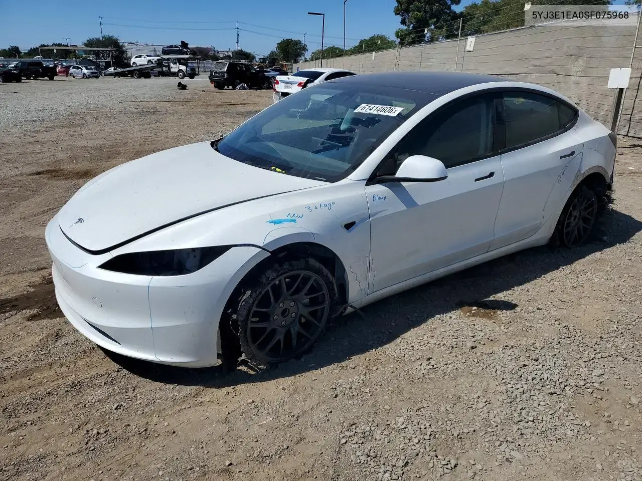 Tesla Model 3 2025