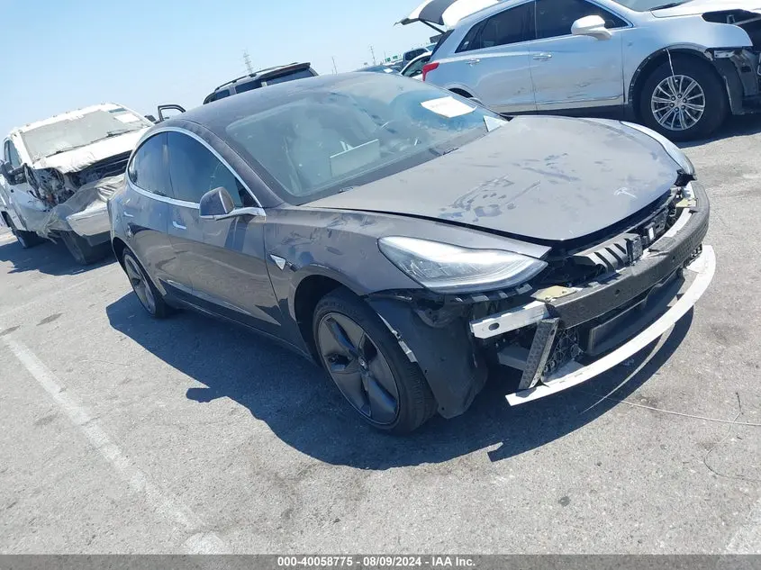 Tesla Model 3 2019