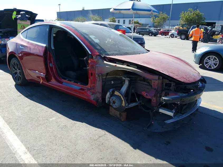 Tesla Model 3 Long Range/Mid Range/Standard Range/Standard Range Plus 2019