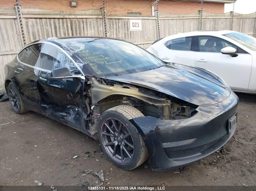 Tesla Model 3 2019