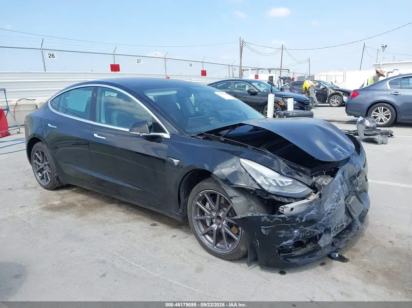 Tesla Model 3 2019