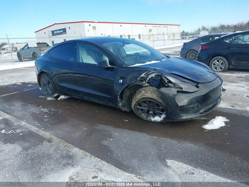 Tesla Model 3 2019