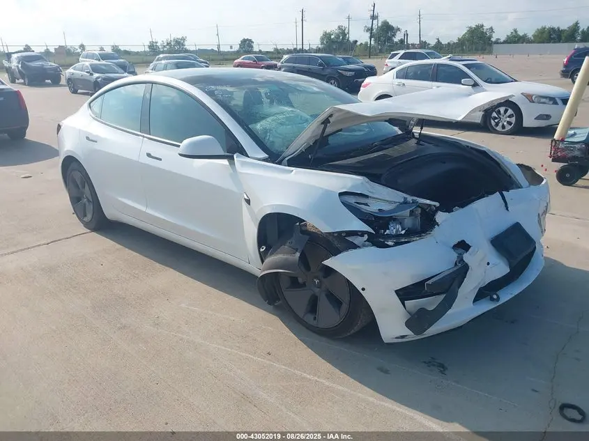 Tesla Model 3 Rear-Wheel Drive 2022
