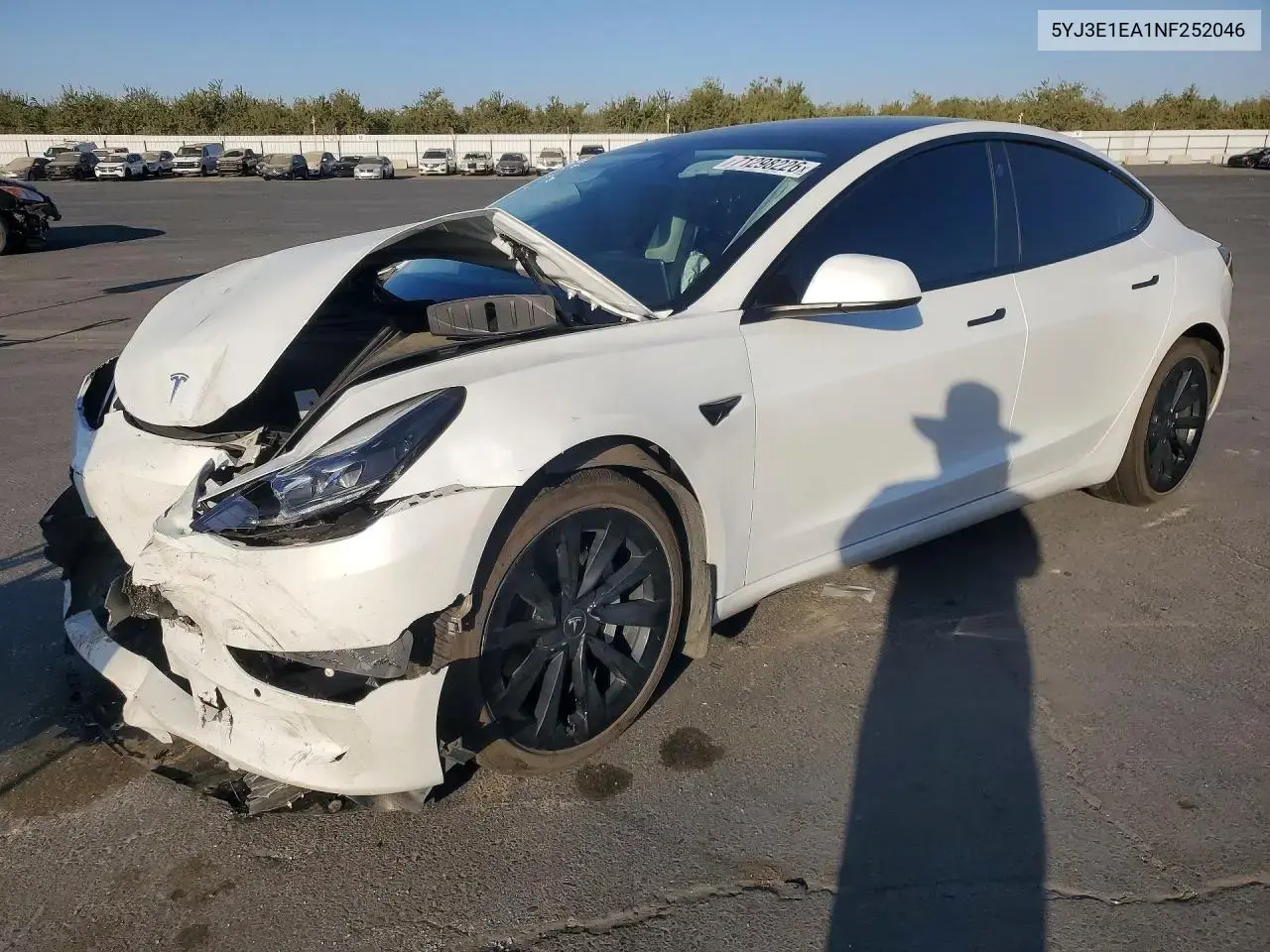 Tesla Model 3 2022