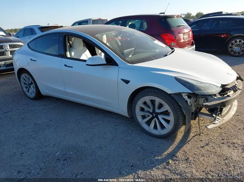 Tesla Model 3 Rear-Wheel Drive 2023