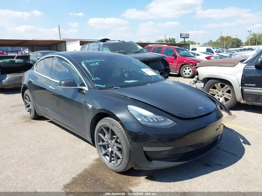 Tesla Model 3 2019