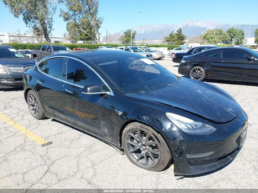 Tesla Model 3 Long Range/Mid Range/Standard Range/Standard Range Plus 2019