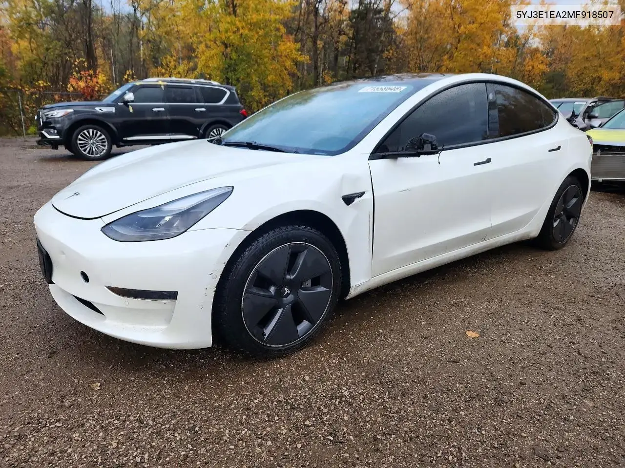Tesla Model 3 2021