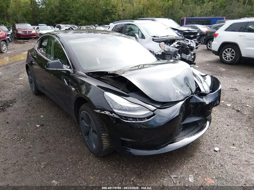 Tesla Model 3 Long Range/Mid Range/Standard Range/Standard Range Plus 2019