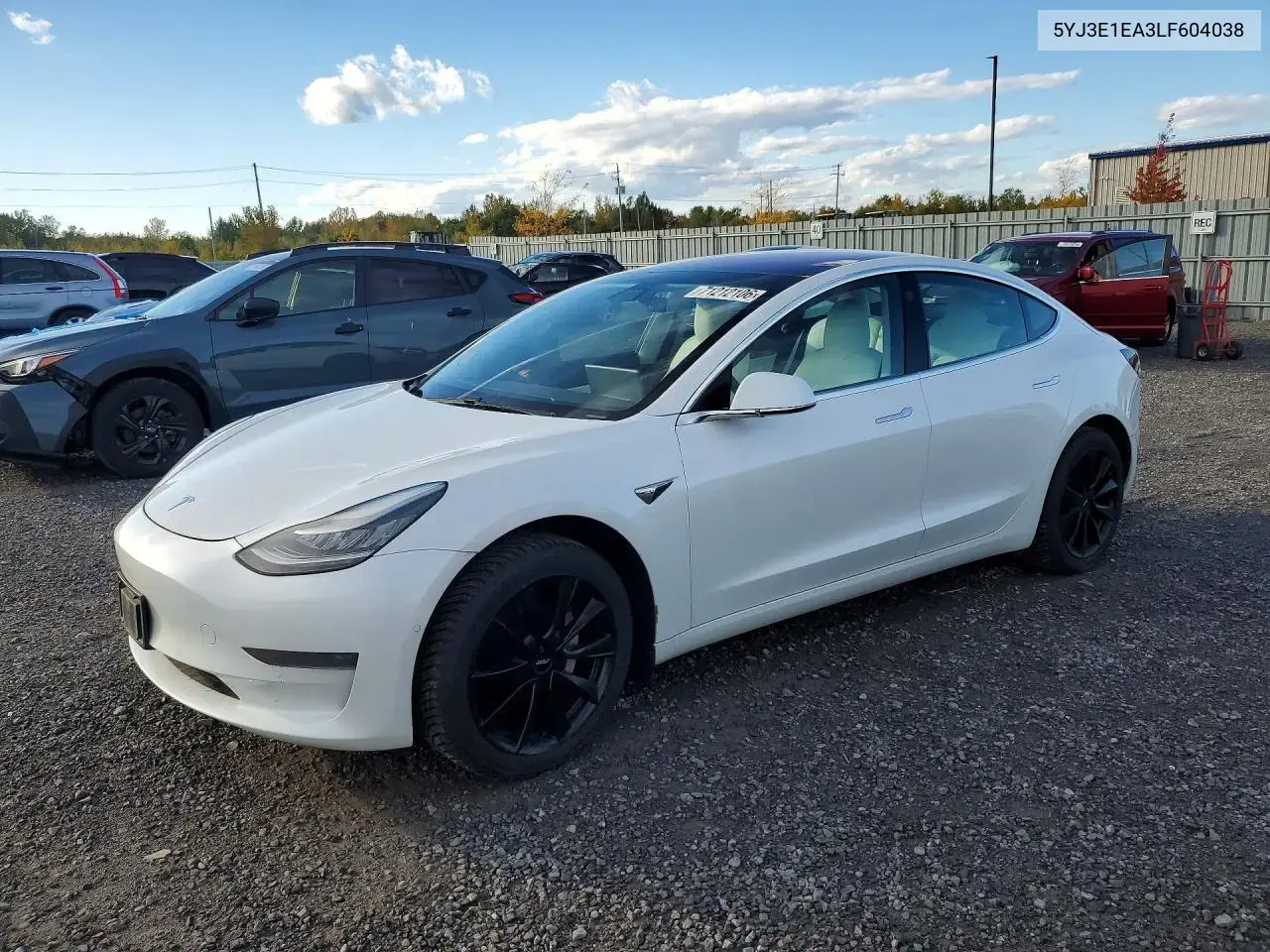 Tesla Model 3 2020