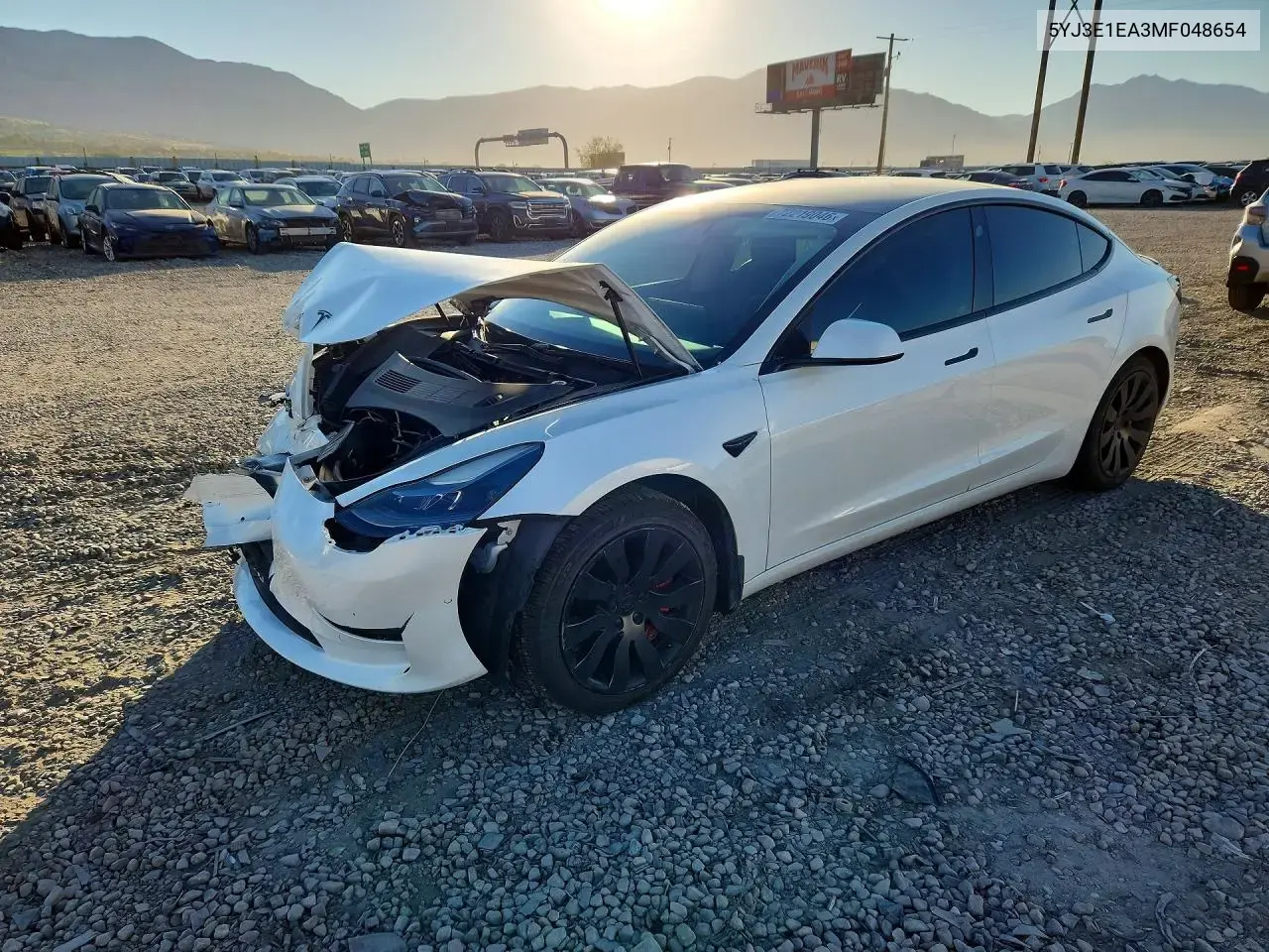 Tesla Model 3 2021